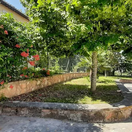 Pacchini Villa *