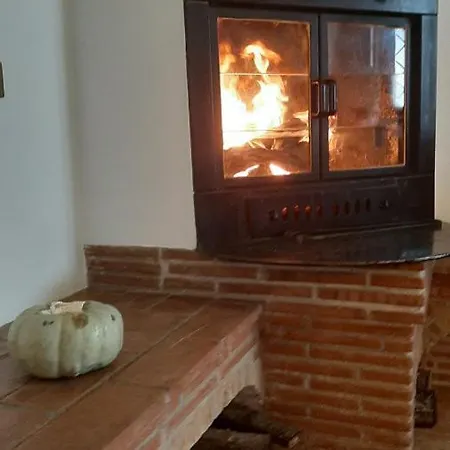 Pacchini *